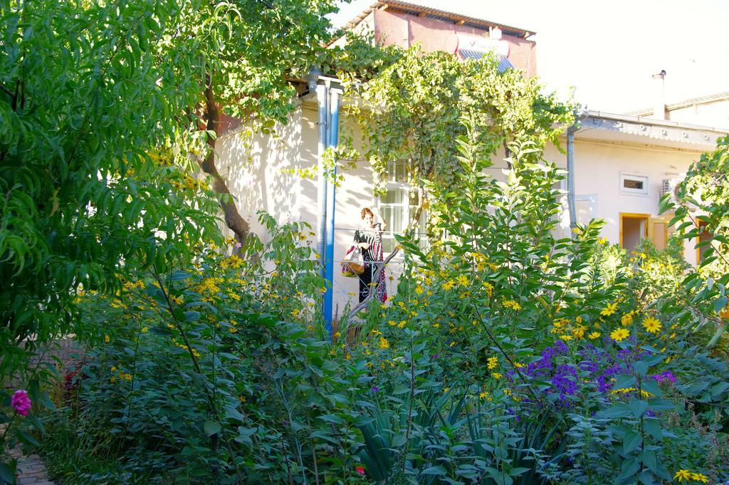 Antica Family Guest House Samarkand Eksteriør billede